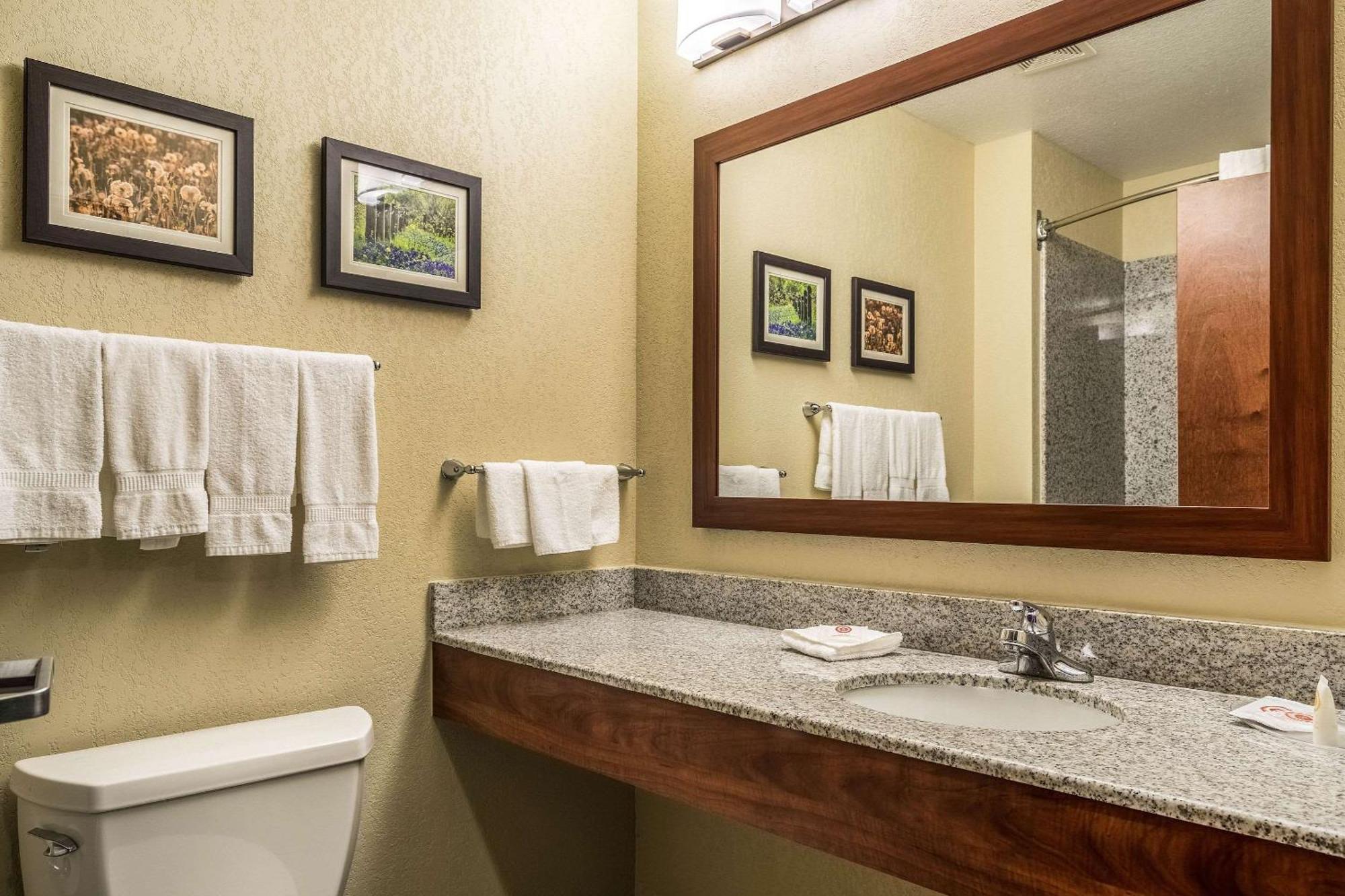 Comfort Suites Near Texas State University San Marcos Exteriér fotografie